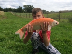 A stunner from Alvechurch 1 sent in by Nick Rhodes 22/09/15.